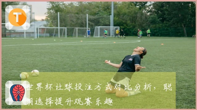 世界杯让球投注方式对比分析，聪明选择提升观赛乐趣