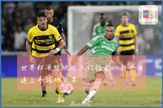 世界杯滚球玩法入门指南，新手快速上手技巧分享