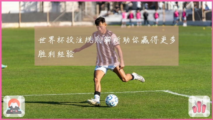 世界杯投注规则解析助你赢得更多胜利经验