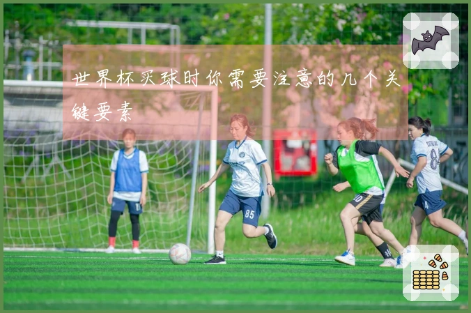 世界杯买球时你需要注意的几个关键要素